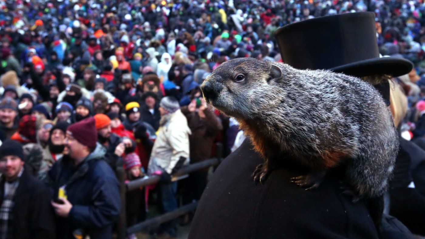 What does it mean if the groundhog sees his shadow?HelloGiggles