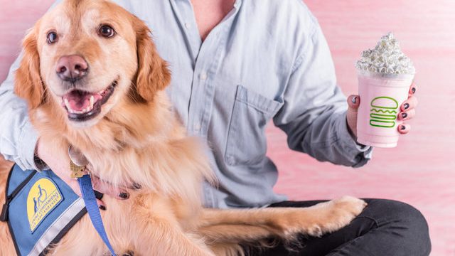 Picture of Shake Shack Dog