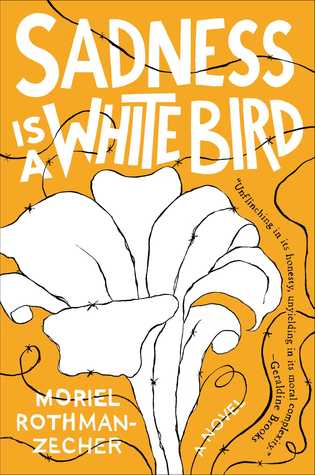 picture-of-sadness-is-a-white-bird-book-photo.jpg