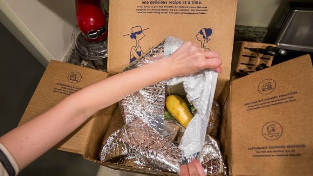 food stamps to be replaced with Blue Apron-style food delivery service