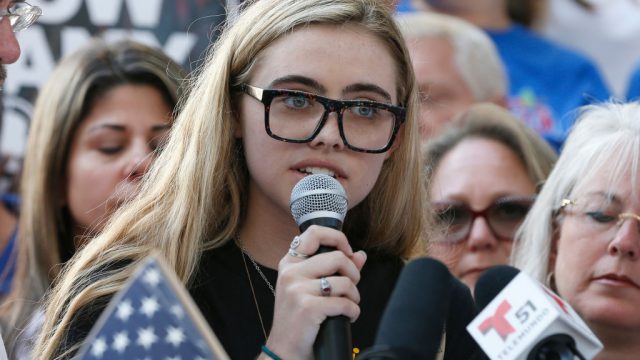 Picture of Florida School Shooting Protest