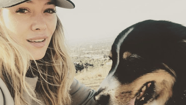 hilary duff dog