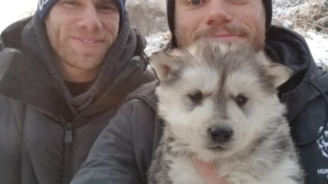 Photo of Gus Kenworthy and Matt Wilkas With Adopted Puppy from Korean Dog Farm