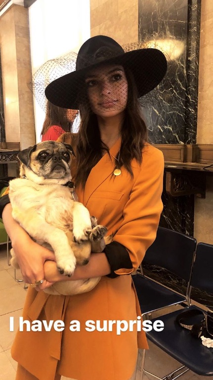 picture-of-emily-ratajkowski-wedding-pug-photo.jpg