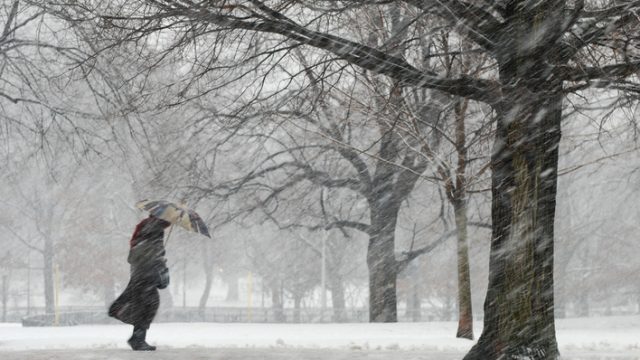 Picture of Nor'easter
