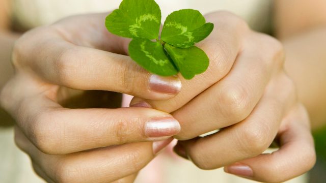 Young woman holding four leaf clover