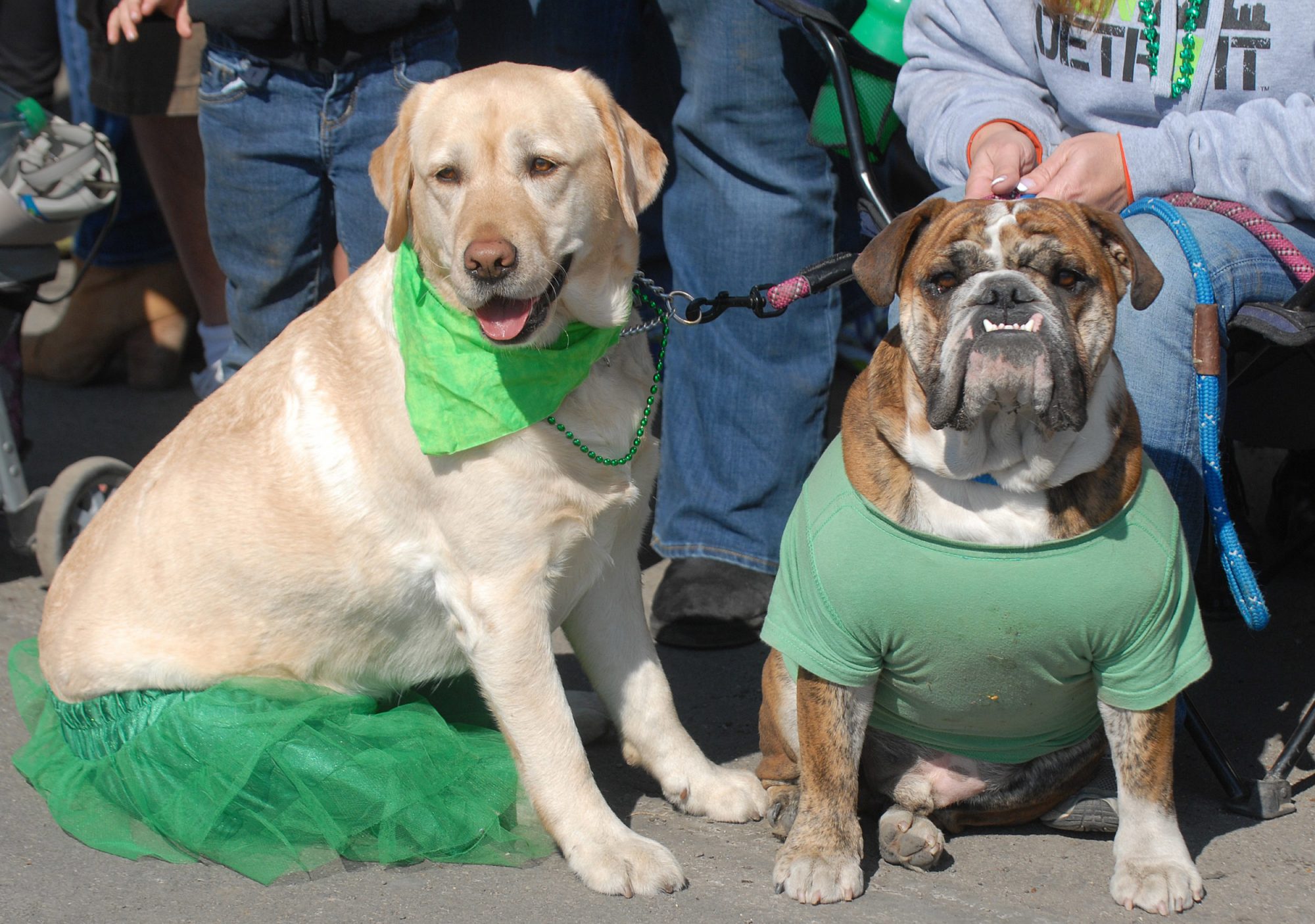 Irish Green: The Various Colors of St. Patrick's Day