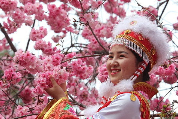 kunming-cherry-blossom-festival.jpg