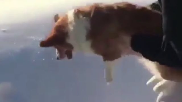 WE DID IT REDDIT on Make a GIF