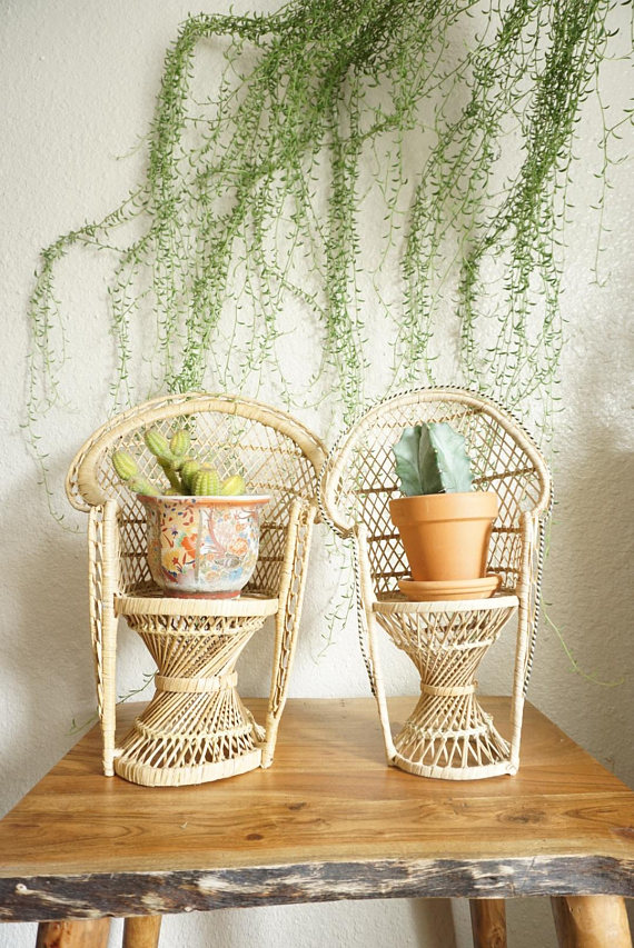 etsy-charming-gardents-plant-peacock-chair.jpg