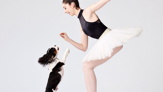 Dancers & Dogs