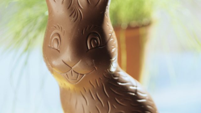Chocolate Easter bunny, close-up