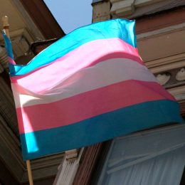 Picture of Trans Day of Visibility