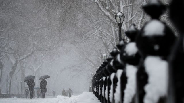 Picture of How Many Inches of Snow Today in NYC