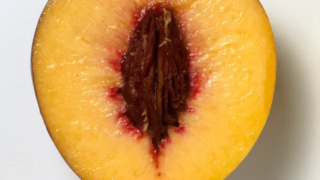 vagina fruit