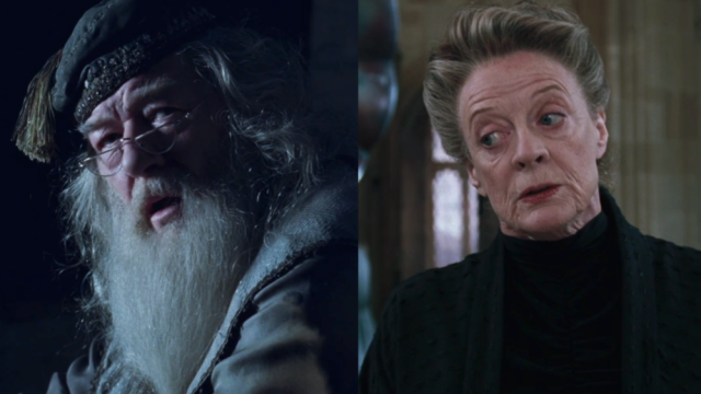 Harry Potter Hogwarts Myster