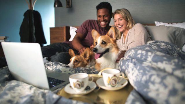 Netflix Pets