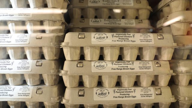egg recall salmonella