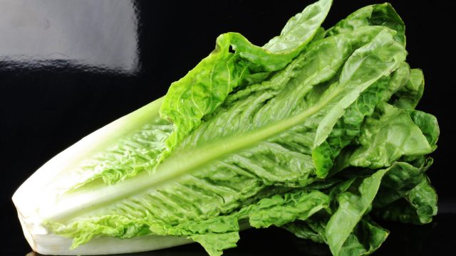 lettuce