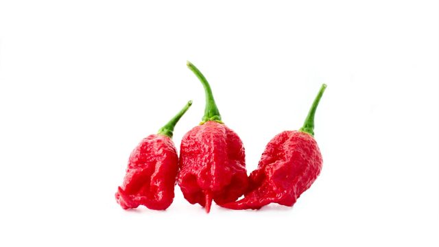 carolina reaper pepper