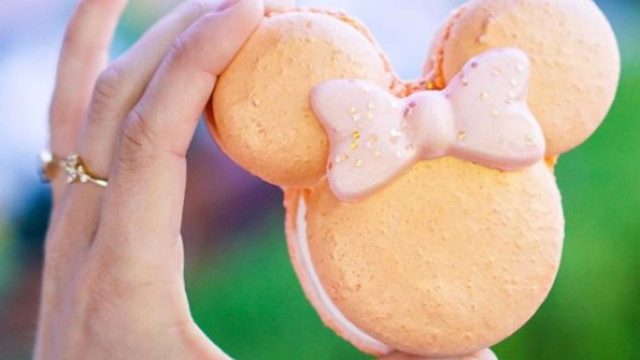 Picture of Disney Rose Gold Macaron