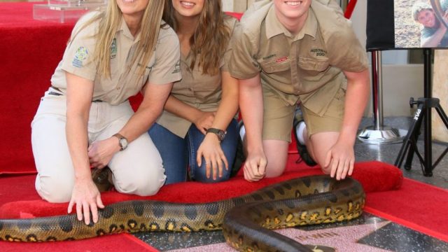Bindi Irwin gave an emotional speech at the unveiling of Steve Irwin's Hollywood star.