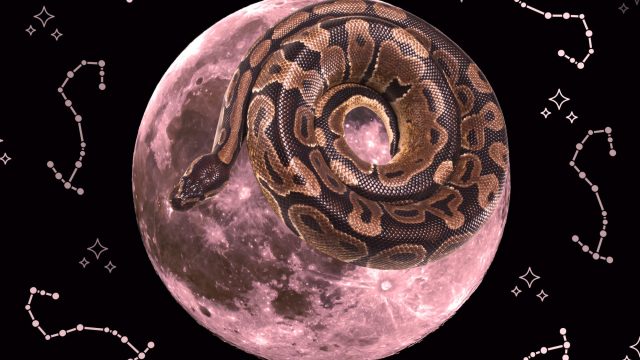 Full Super Moon