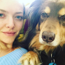 Image of Amanda Seyfried and dog
