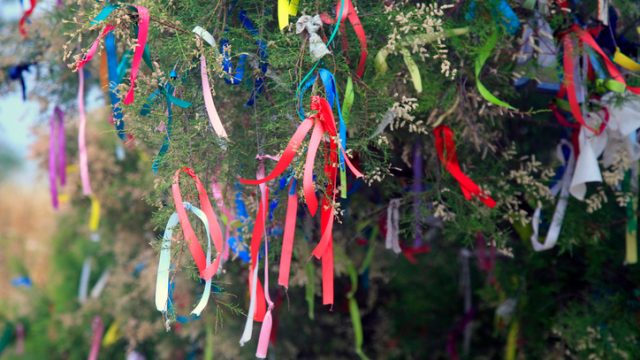 Ribbons on a tree for making wishes