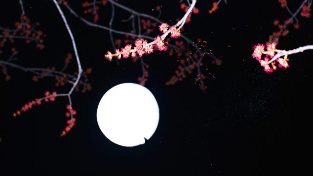 Flower Moon