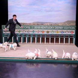 Picture of Kentucky Derby Puppies