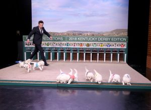 Picture of Kentucky Derby Puppies