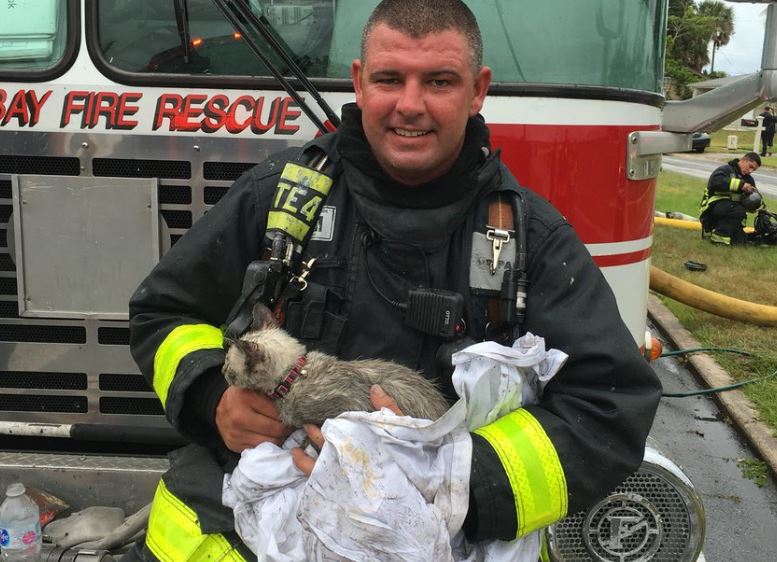 Watch A Florida Firefighter Rescue A Kitten From A Burning 