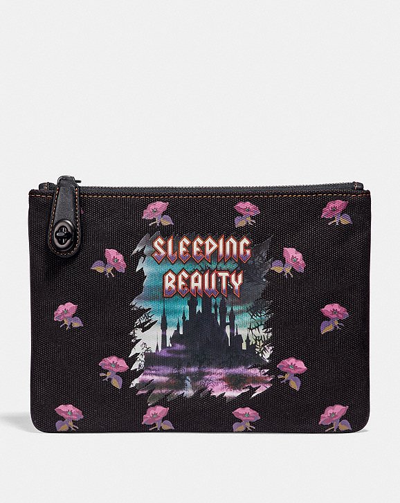 sleeping-beauty-pouch.jpeg