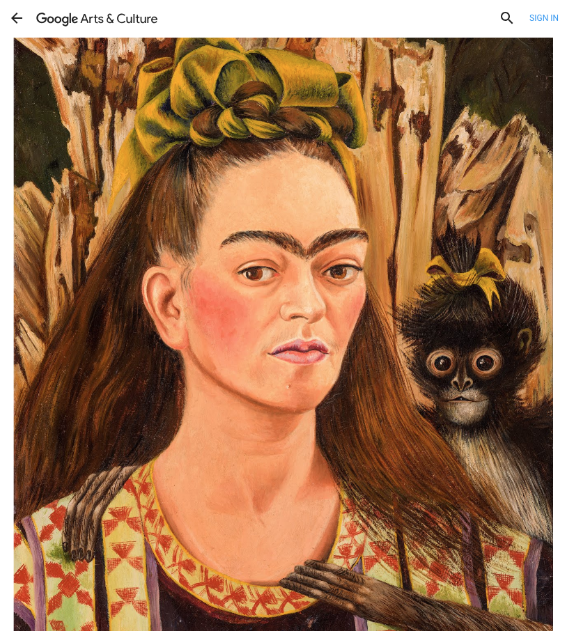 google-arts-culture-frida-kahlo.png