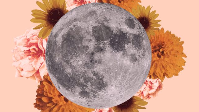 flower moon