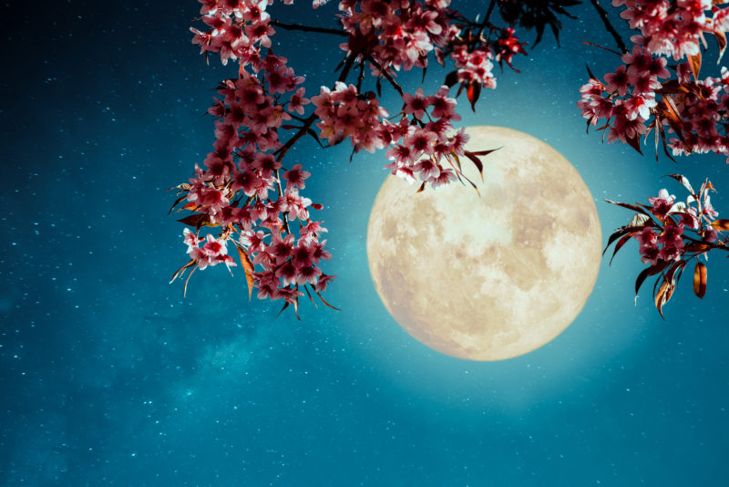 Ritual – Flowering Moon
