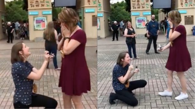 double wedding proposal