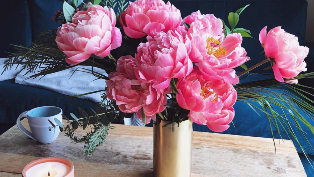cut flowers