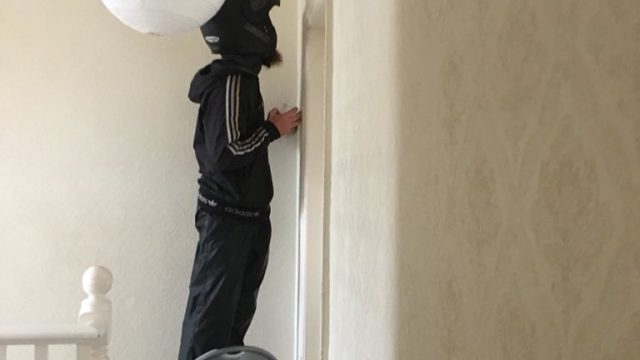 Picture of Deliveroo Kill Spider