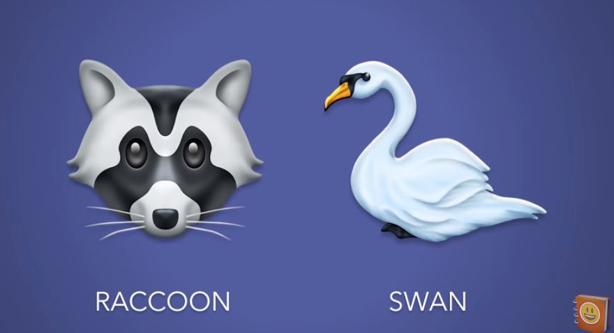 raccoon-swan.jpg