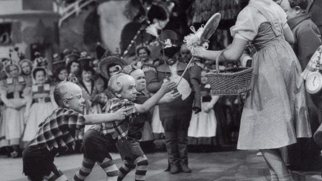 Wizard of oz
