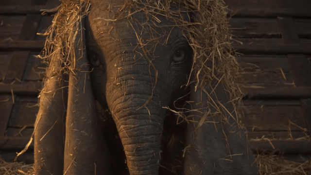 Dumbo