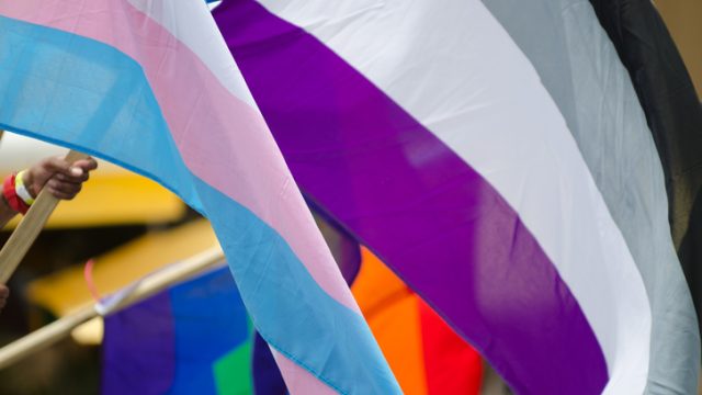 Asexual flag waving at a Pride celebration