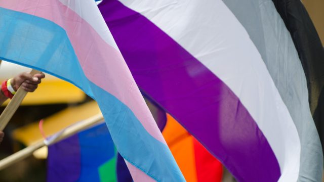 Asexual flag waving at a Pride celebration