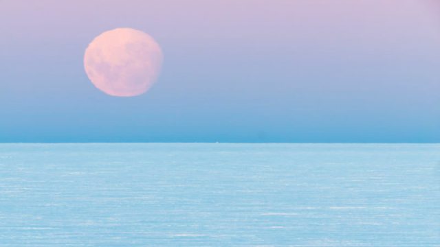Image of a pink full moon
