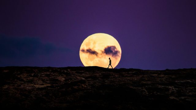 strawberry full moon