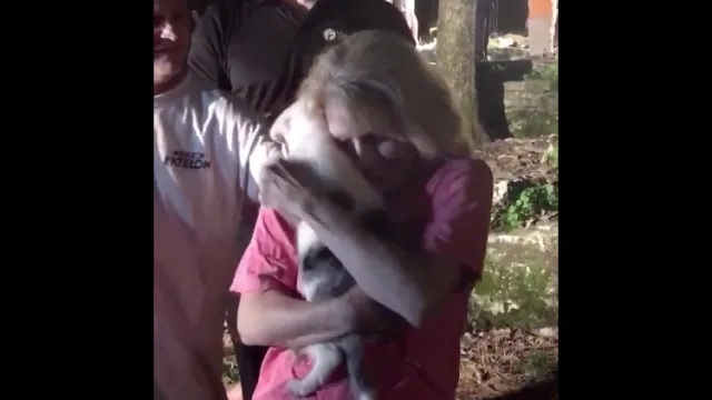 deaf puppy