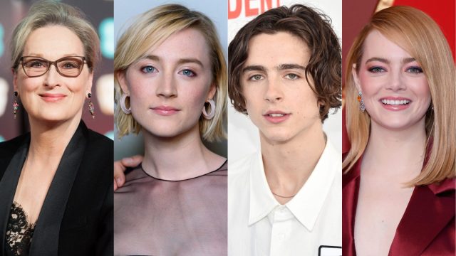 Timothee Chalamet, Saoirse Ronan, Meryl Streep, Emma Stone in Little Women