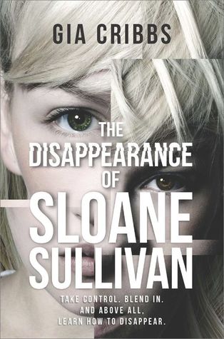 picture-of-the-disappearance-of-sloane-sullivan-book-photo.jpg